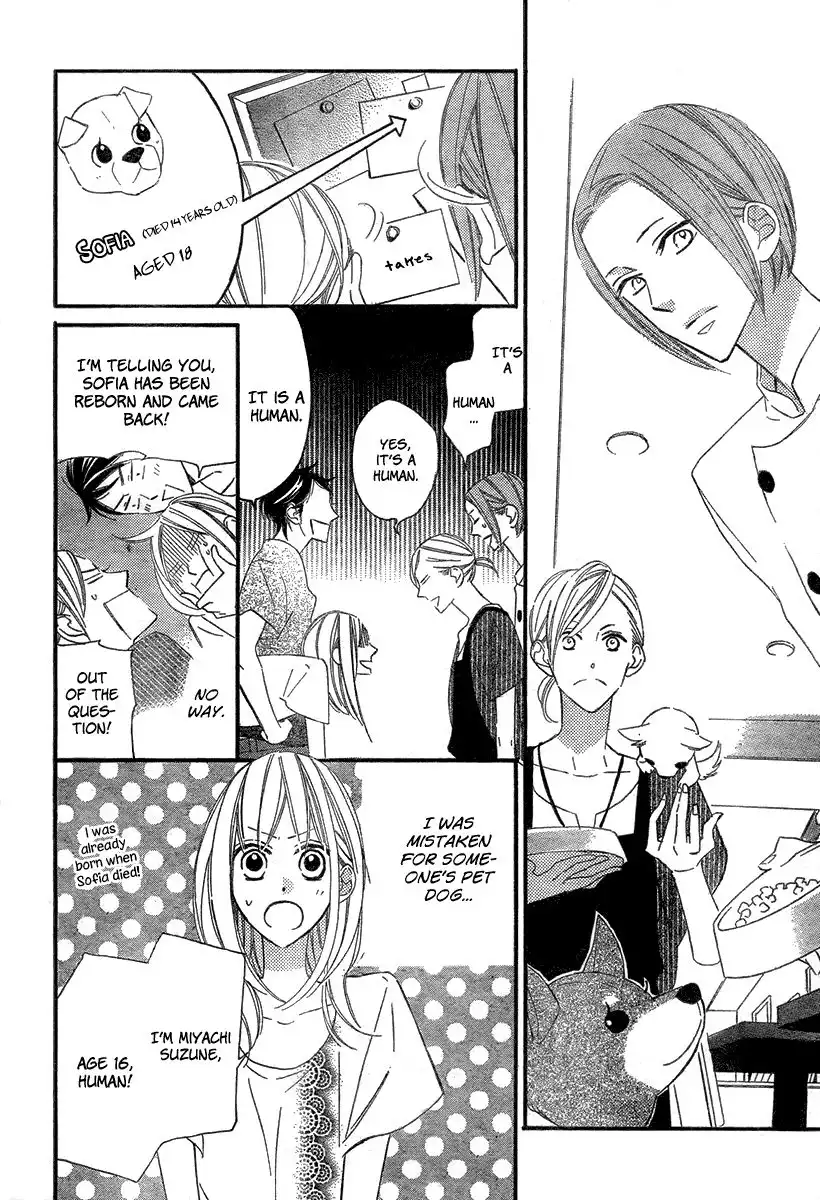 Wonderful Cafe ni Youkoso Chapter 0 8